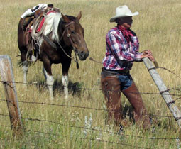 Brown Creek Wild Rags