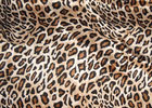 Silk Charmeuse Wild Rag 