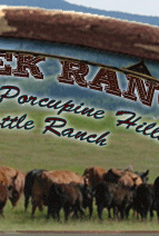 Family Working Angus Cattle Ranch